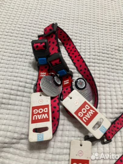 Ошейники и поводок