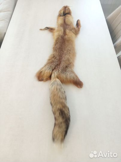 Шкурка лисы