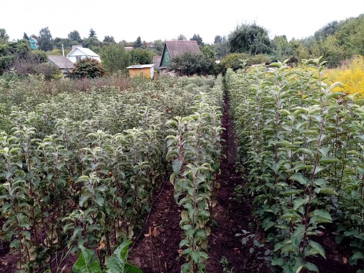 Дача 30 м² на участке 6 сот.