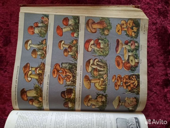 Энциклопедия домашнего хозяйства