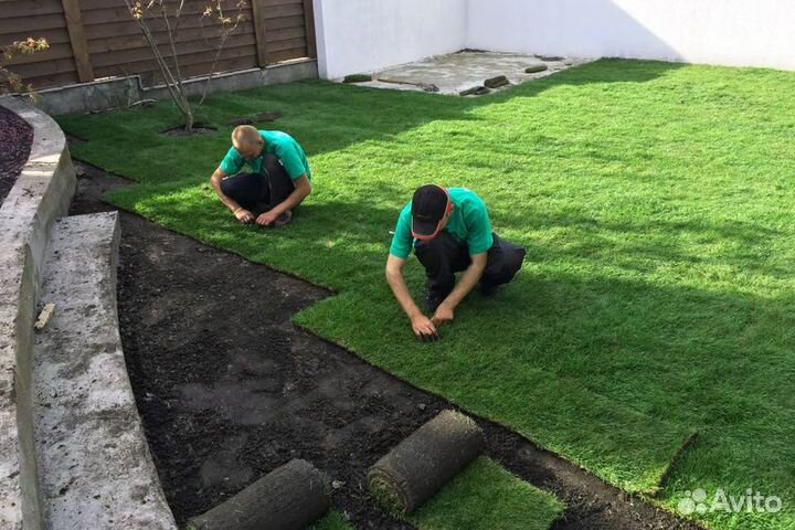 Рулонный газон с доставкой
