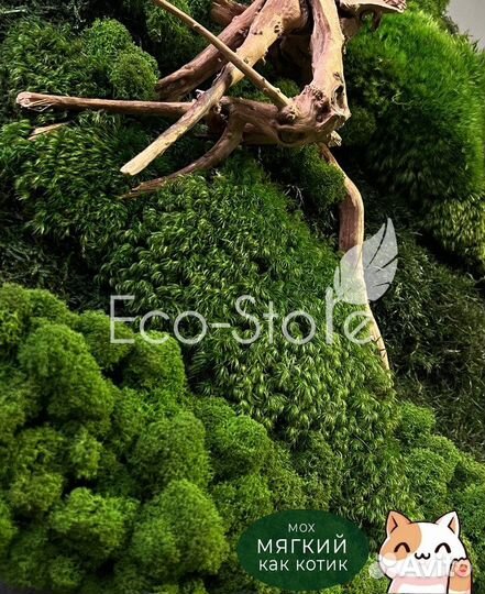 Картина со мхом и корягой