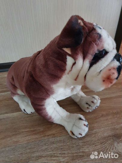 Английский бульдог, мягкая игрушка