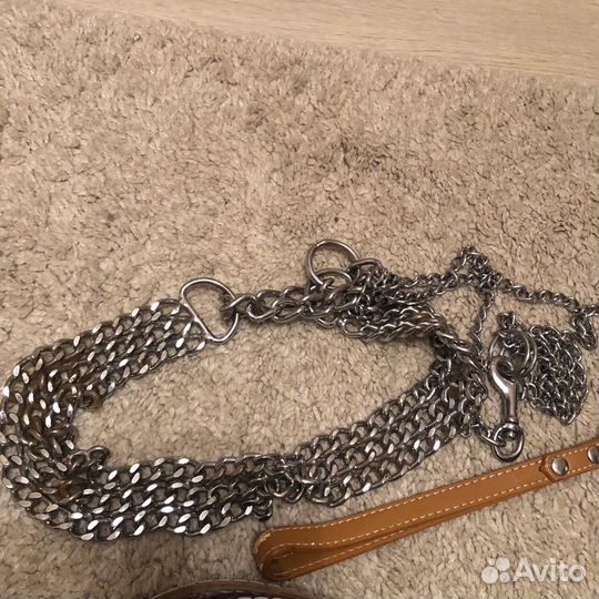 Поводки для собак