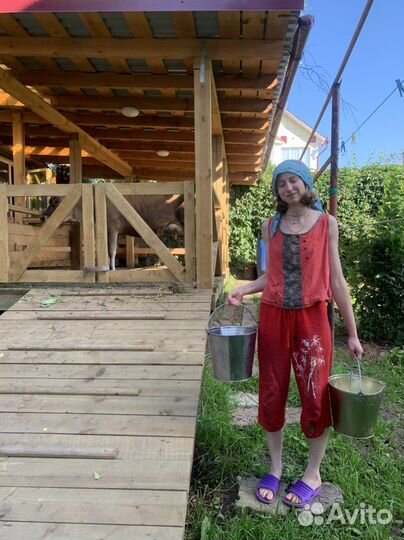 Молоко творог масло домашнее Джерси