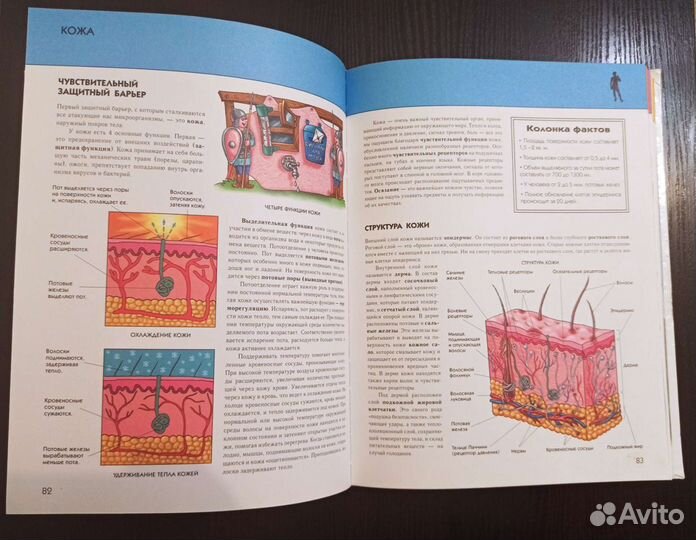 Книги для детей. Человек. Полная энциклопедия