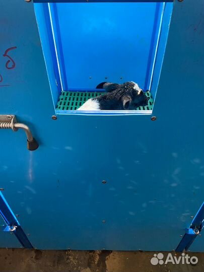 Бокс для сушки телят New farm