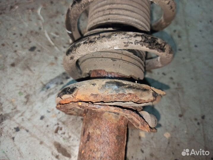 Стойка подвески задняя Nissan Primera P12 лифтбек