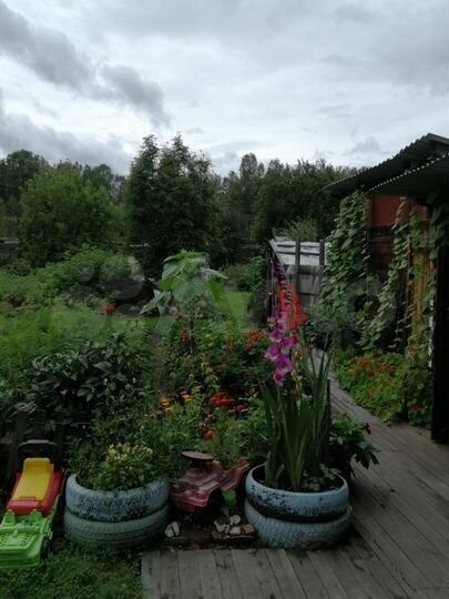 Дача 20 м² на участке 15 сот.