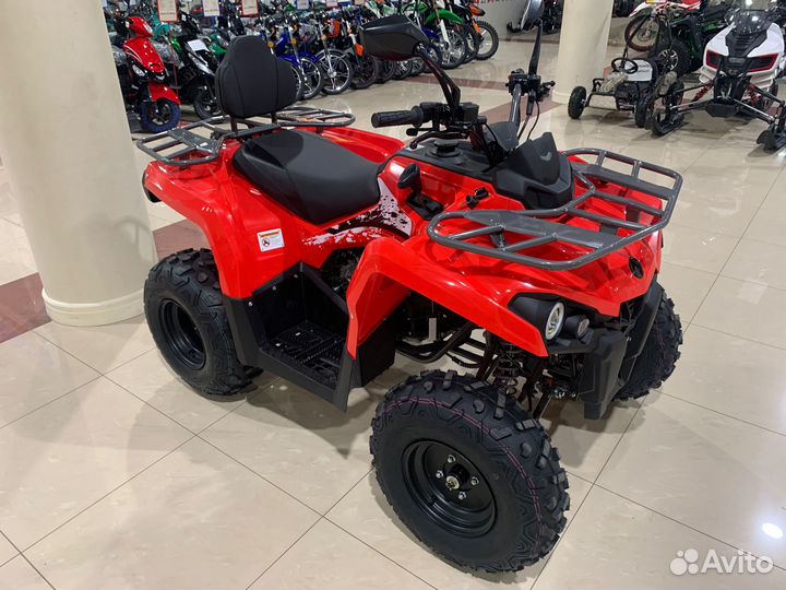 Мопед alfa C.moto forester NEW с кофром