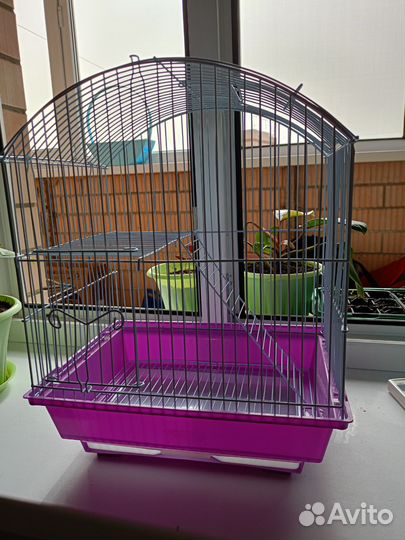 Клетка для грызунов бу