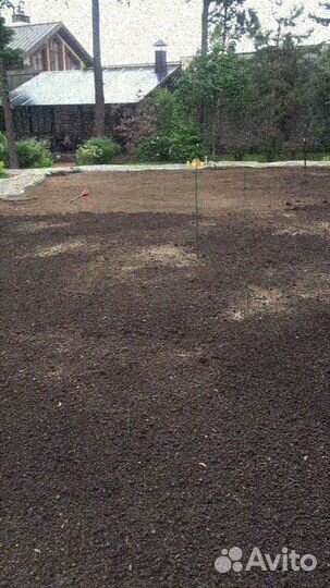 Рулонный газон от производителя