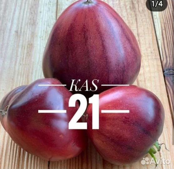 Рассада помидор сортовых