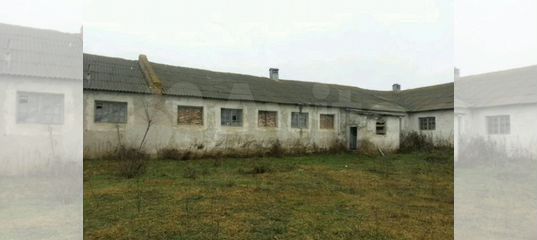 S market село константиновское 84 фото