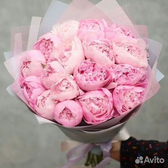 Пионы Букеты Цветы Доставка