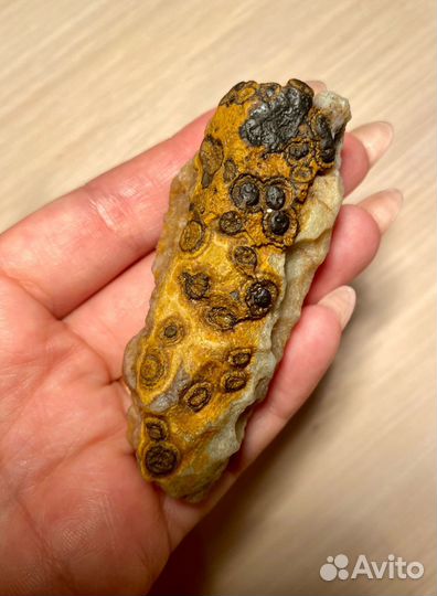 Редчайшие Гоби Агаты с глазками (мощные обереги)