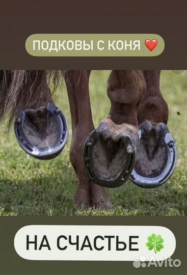 Подкова для лошади