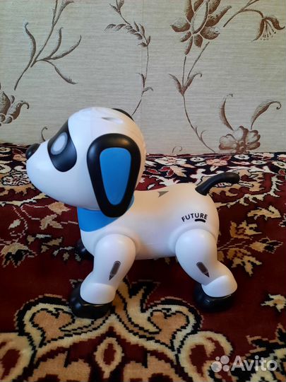 Собака акробат