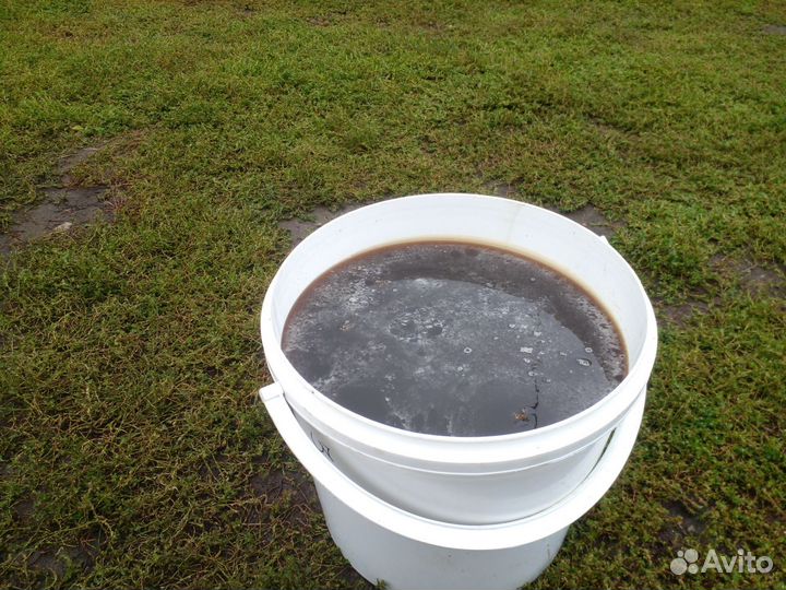 Мед гречишный 2023