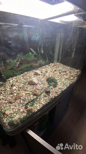 Аквариум New R 390