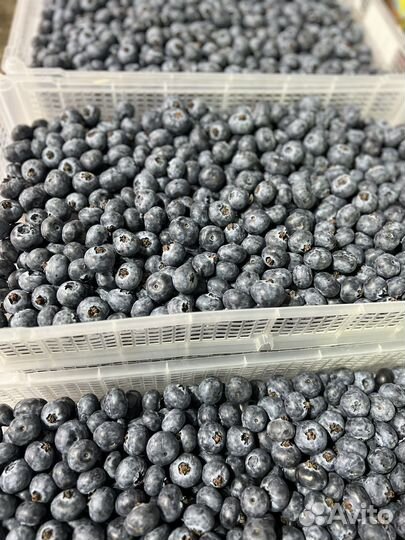 Овощи фрукты