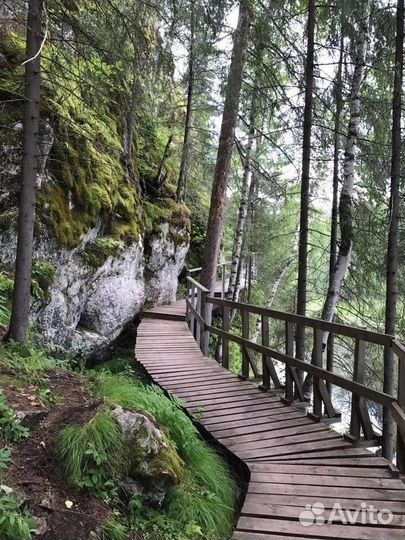 Оленьи ручьи. Автобусный тур