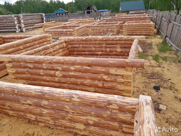 Срубы из Зимней Башкирской Сосны