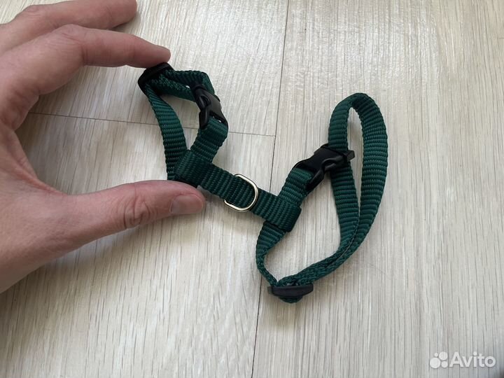 Шлейка для хорька с поводком