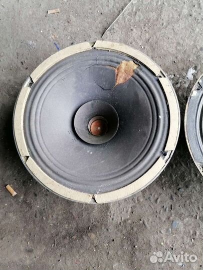 Широкополосные динамики 12