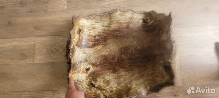 Шкура животного