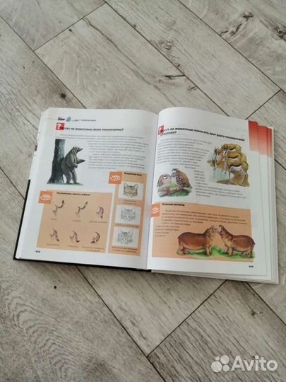 Энциклопедия для детей