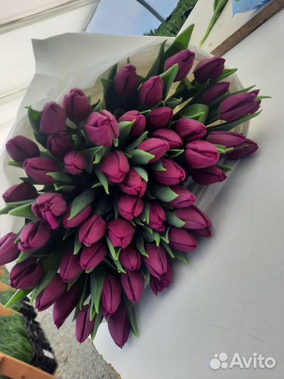 Тюльпаны к 8 марта оптом