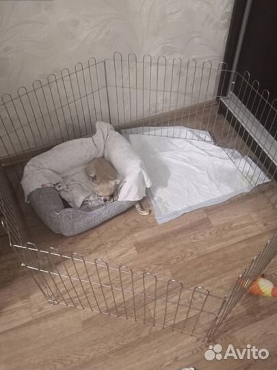 Вольер манеж для собак 6 секций высота 64,9 см