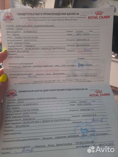 Шпиц кабель вязка