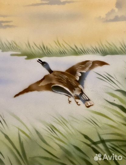 Настенная тарелка утки, охота. Дулёво. СССР. 1920е