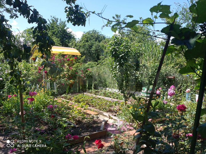 Участок 5,2 сот. (СНТ, ДНП)