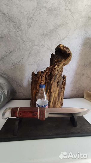 Дрифтвуд. Пень.Лиана