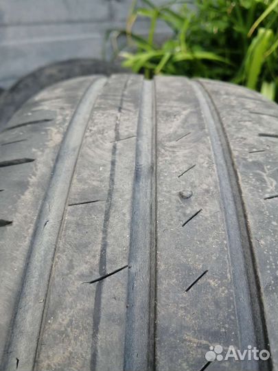 Continental ContiPremiumContact 6 195/65 R15