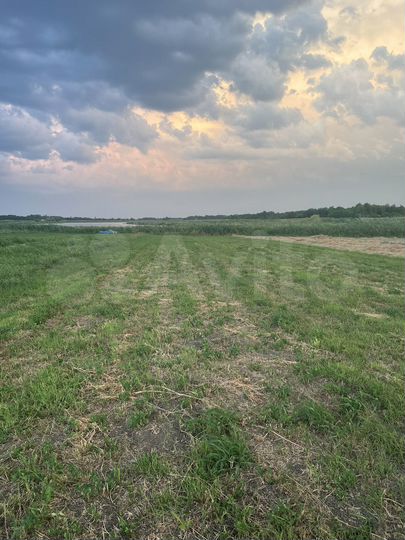 Участок 43 сот. (ИЖС)