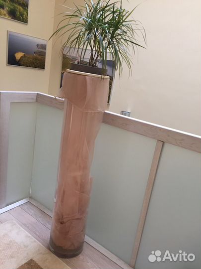 Вазон прозрачный цилиндрический 122см