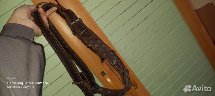 Амуниция для собак