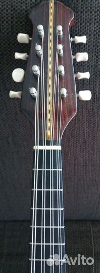 Мандолина концертная