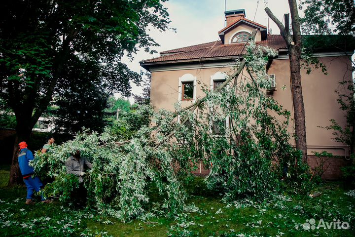 Расчистка участка