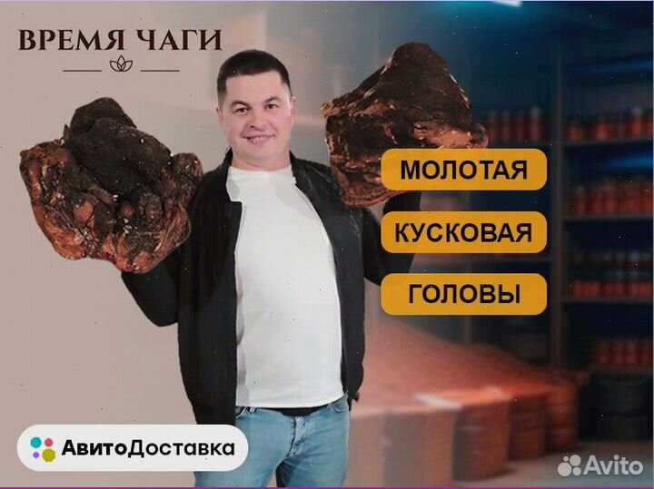 Чага сушеная / молотая и кусковая