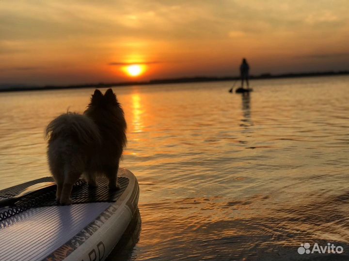 Прокат Сап бордов