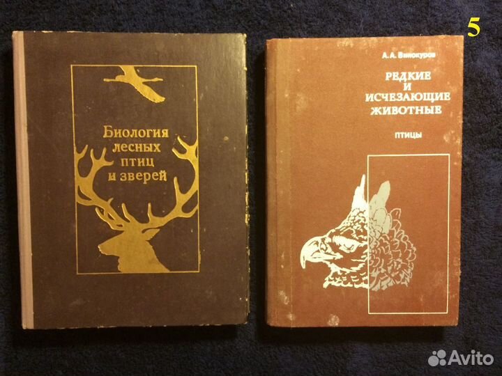 Книги: природа, птицы, животные