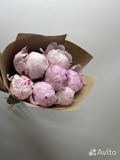 Пионы 51шт с доставкой
