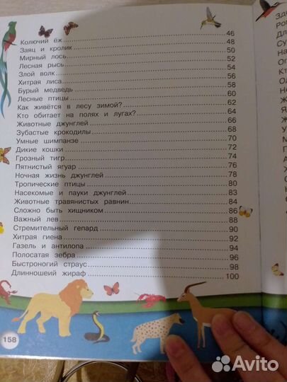 Первая детская энциклопедия о животных