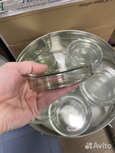 Чашки Петри