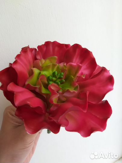 Суккуленты искусственные цветы премиум